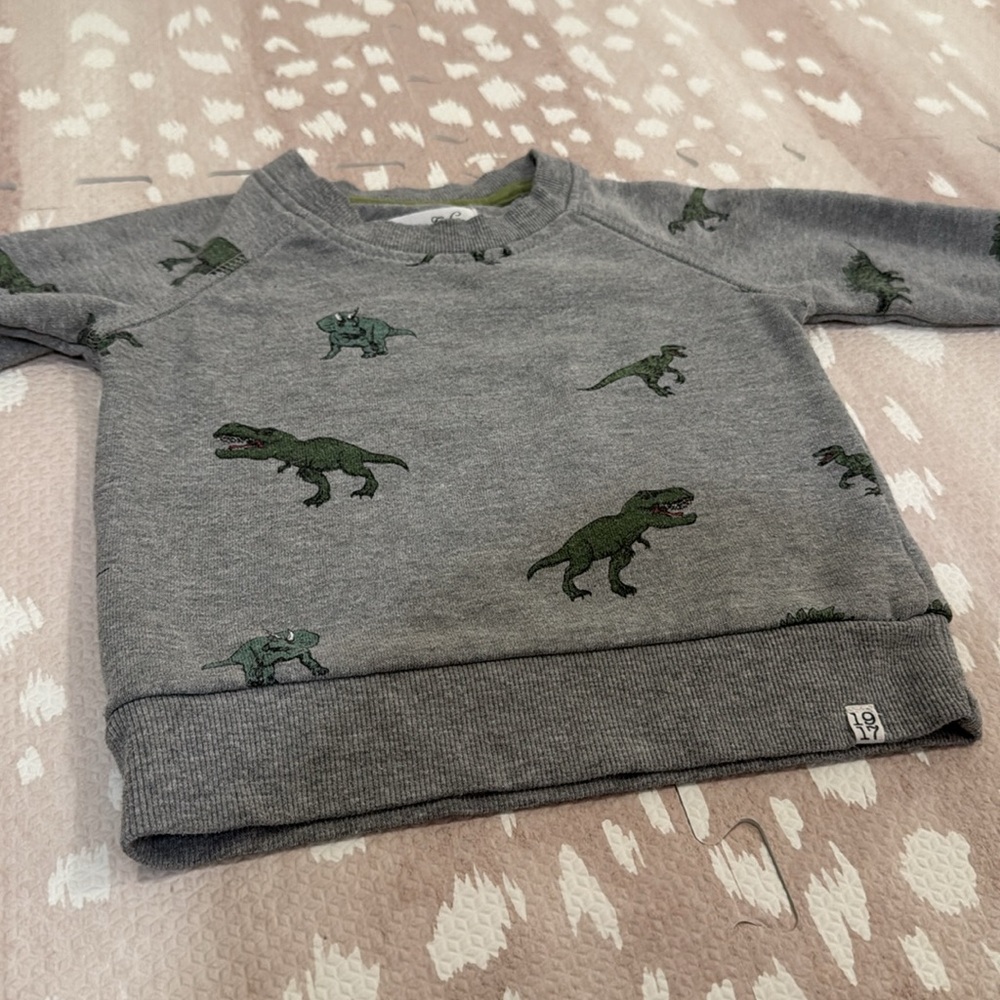 Sovereign Code Boys Dinosaur Sweatshirt Gray Size 18M - Picture 11 of 11
